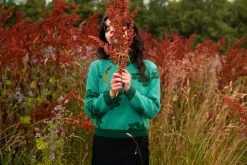 Cheap Fauna Jumper - Shamrock Lambswool Jumpers