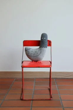 Best Sale Paddy Pigeon Creatures